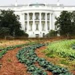 Should We Buy Organic?