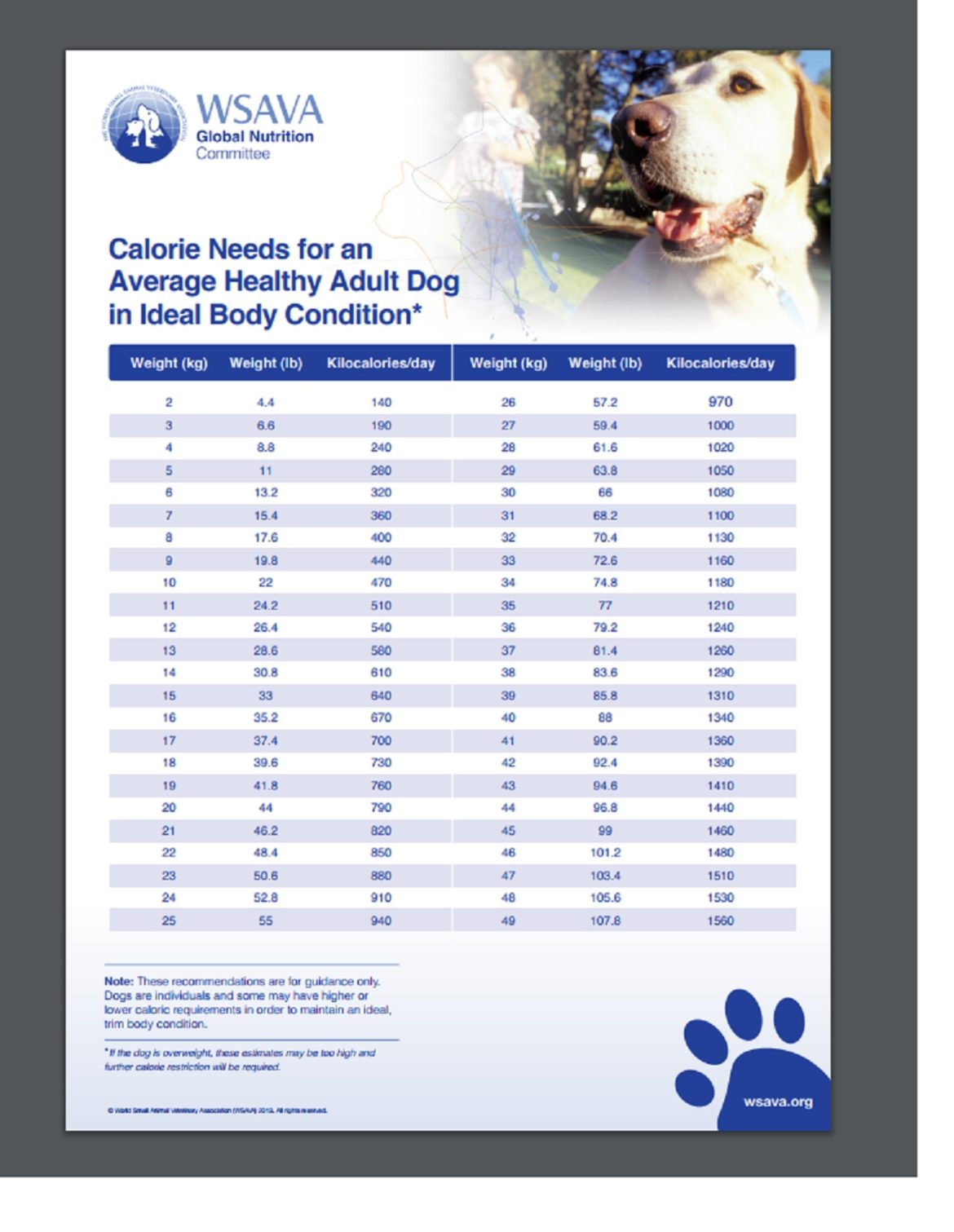 Make Your Own Dog Food