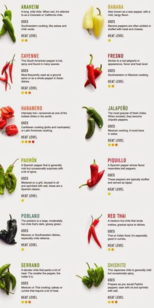 all you need to know about dried chiles