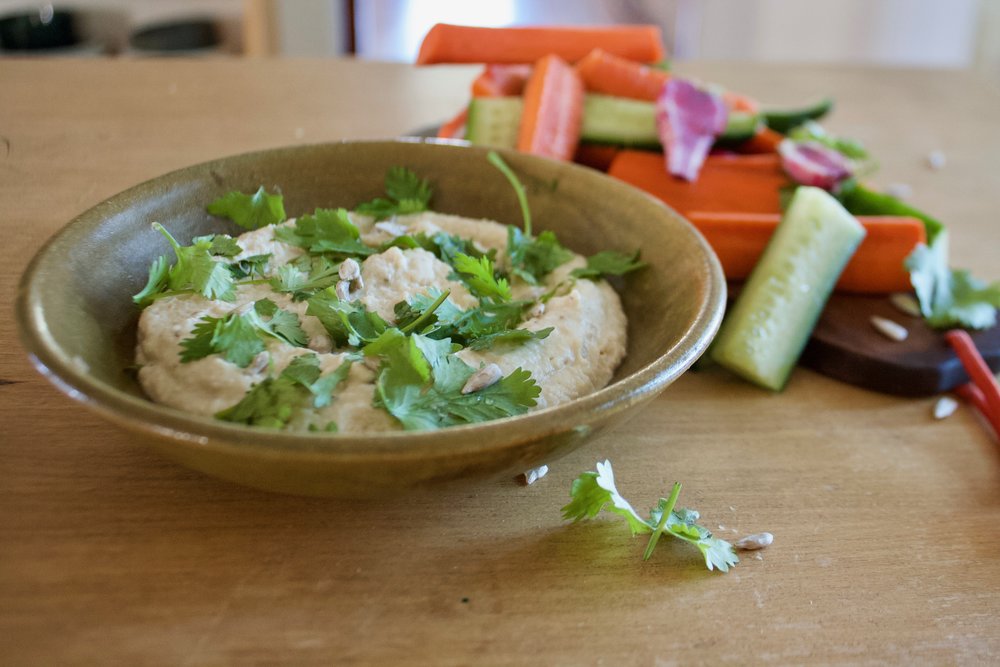 Sunflower Seed Hummus Recipe Jughandle’s Fat Farm